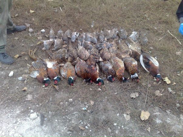 №79, Виталий Руденко, 29 лет, Кривой Рог №79, Виталий Руденко, 29 лет, Кривой Рог