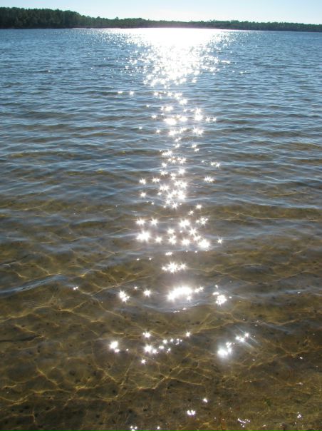 №16, Наталья Шепталова №16, Наталья Шепталова