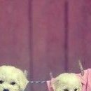 №6, Михаил Войтик, 28 лет, Минск №6, Михаил Войтик, 28 лет, Минск