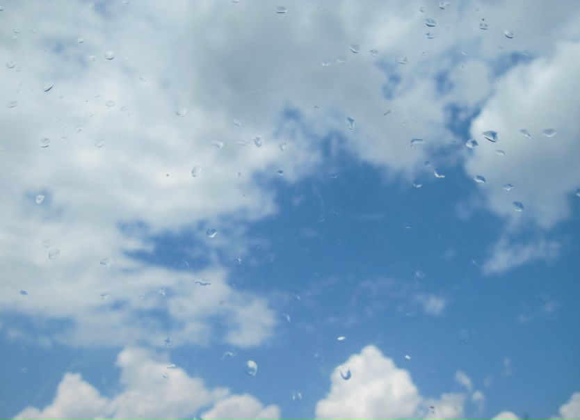 №54, Ирина Гарлицкая №54, Ирина Гарлицкая