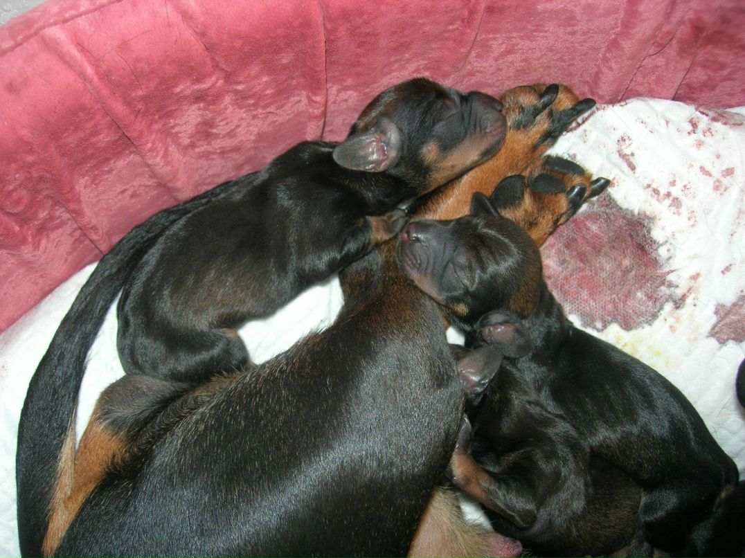 Екатерина Рязанова | Москва