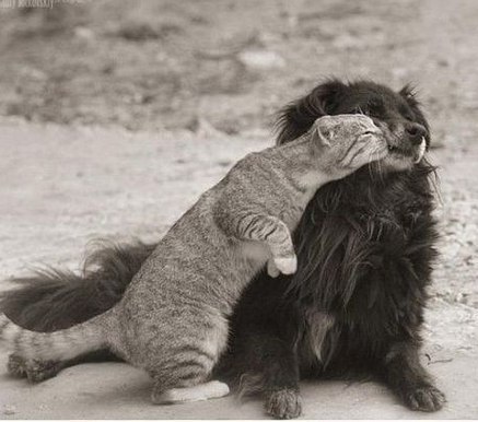 Танюшка Петрик 