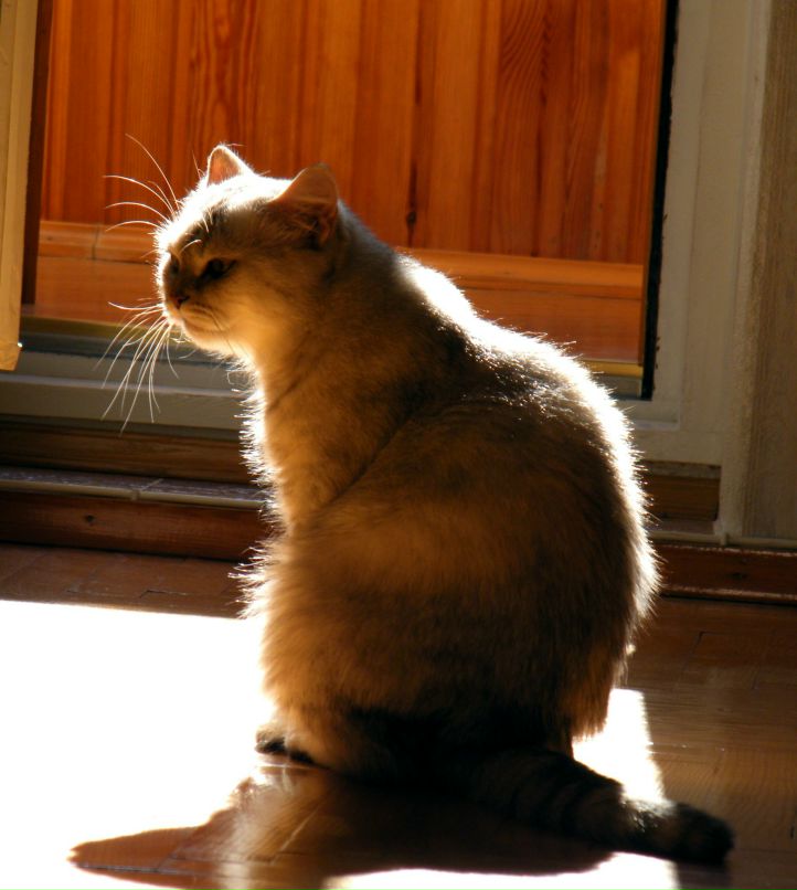 Ольга Ренанская | Минск