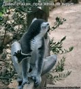 №2 Виктория Данилова 15.06.1988: профиль, фото, статус - ВКонтакте