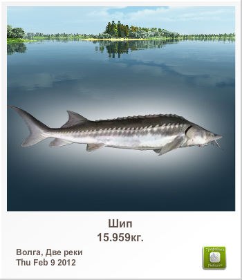 Игорь Вдовин | 