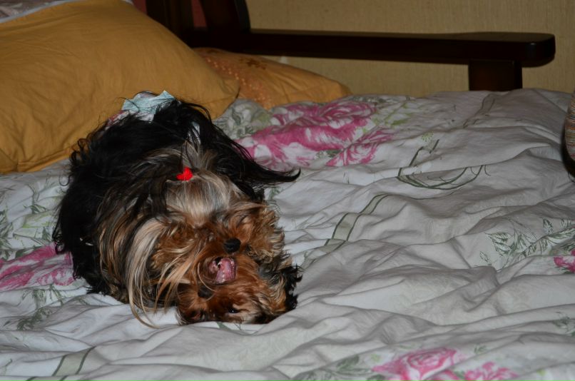 Виталий Вешкин iostream | Макеевка