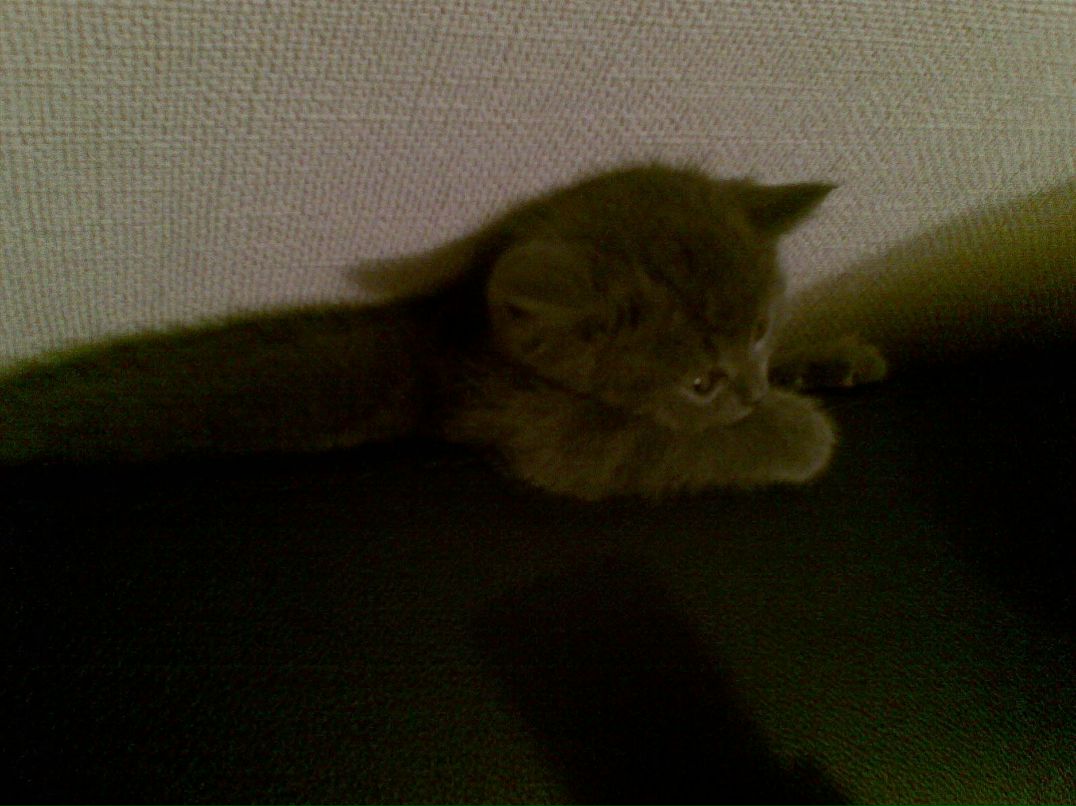 Песок Времени | 