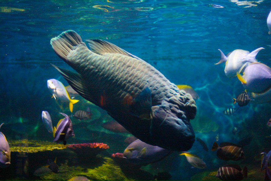 Рената Санникова | Ижевск