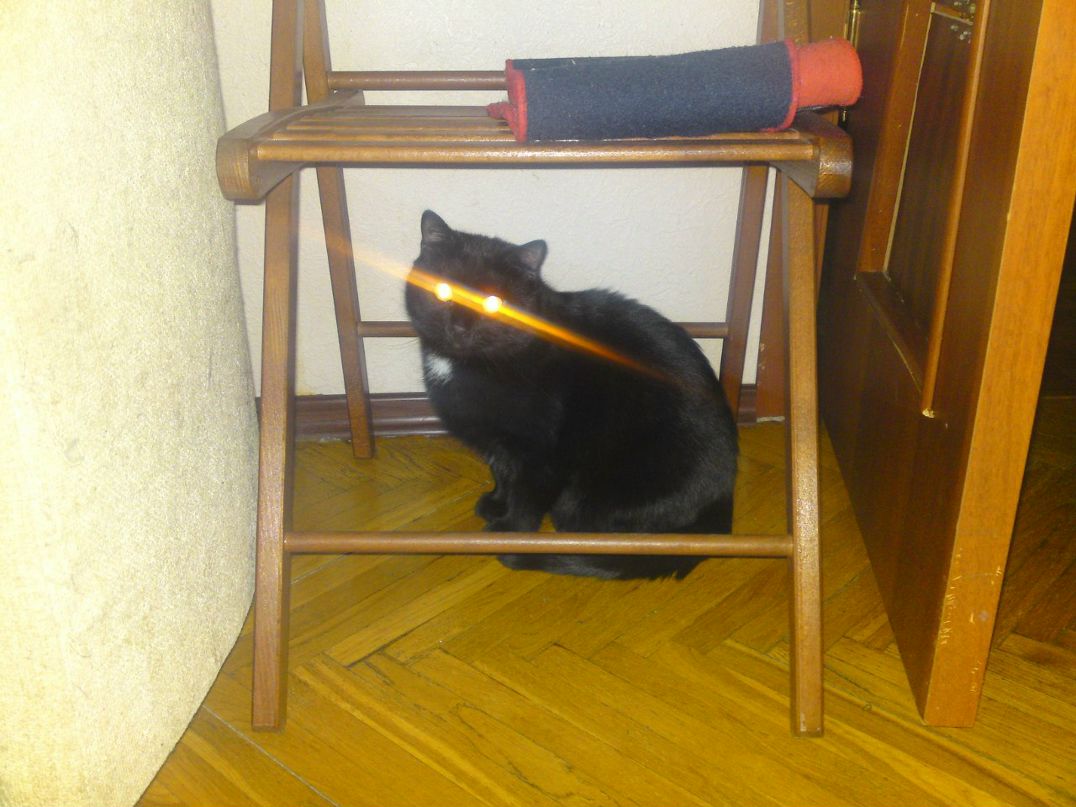 Юлия Лапочкина Мышка | Санкт-Петербург