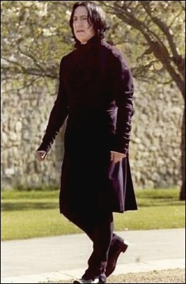 №17, Cеверус Снейп №17, Cеверус Снейп