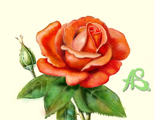 №16, Елена Иванова №16, Елена Иванова