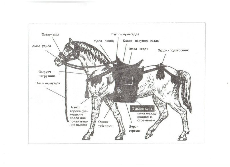 Владимир Лиджиев | Большой Царын