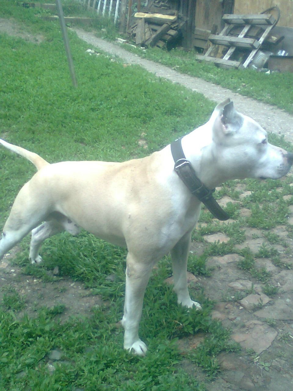 Владимир Леонтьев | Уфа