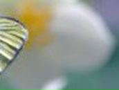 Инна Алексейчук | Минск