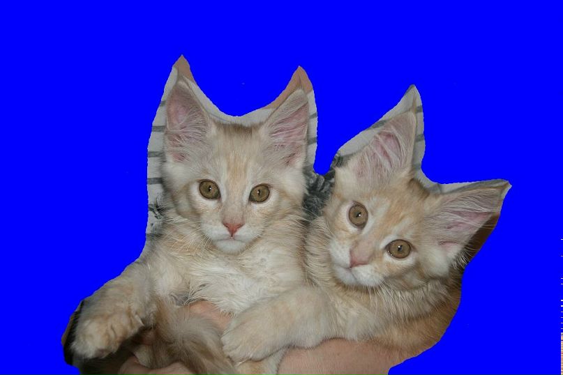 Галина Лепёшкина | 