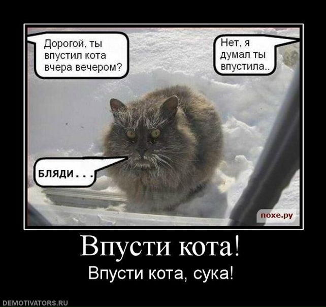 №128, Серик Ишанклычев №128, Серик Ишанклычев