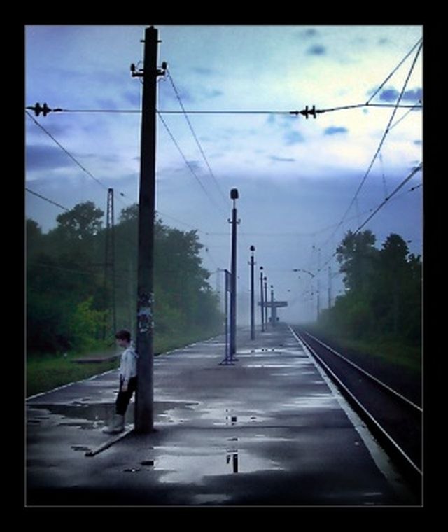 Светлана Кудрявцева | Тольятти