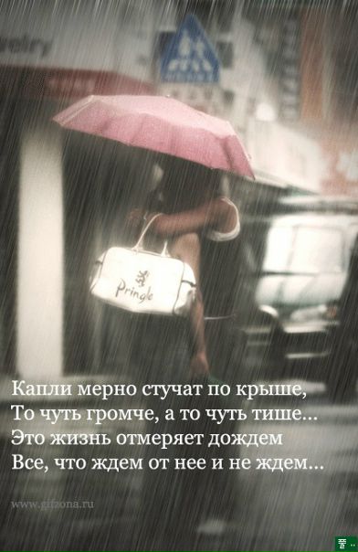 №23, Мария Арацкая, Долгопрудный №23, Мария Арацкая, Долгопрудный