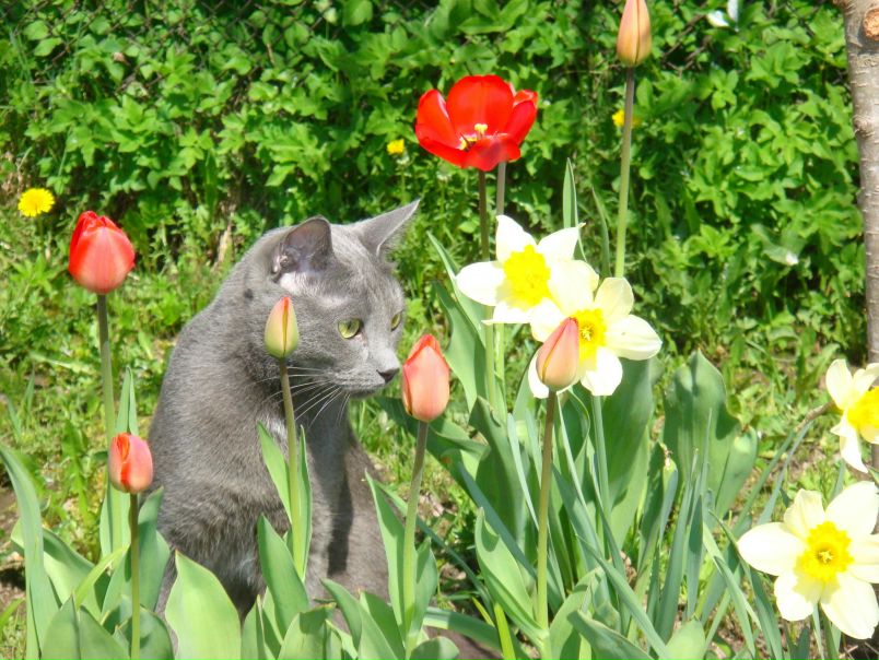 №60, Светлана Мельчина, Санкт-Петербург №60, Светлана Мельчина, Санкт-Петербург