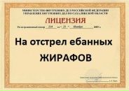 Фотография Алексей Сиваков