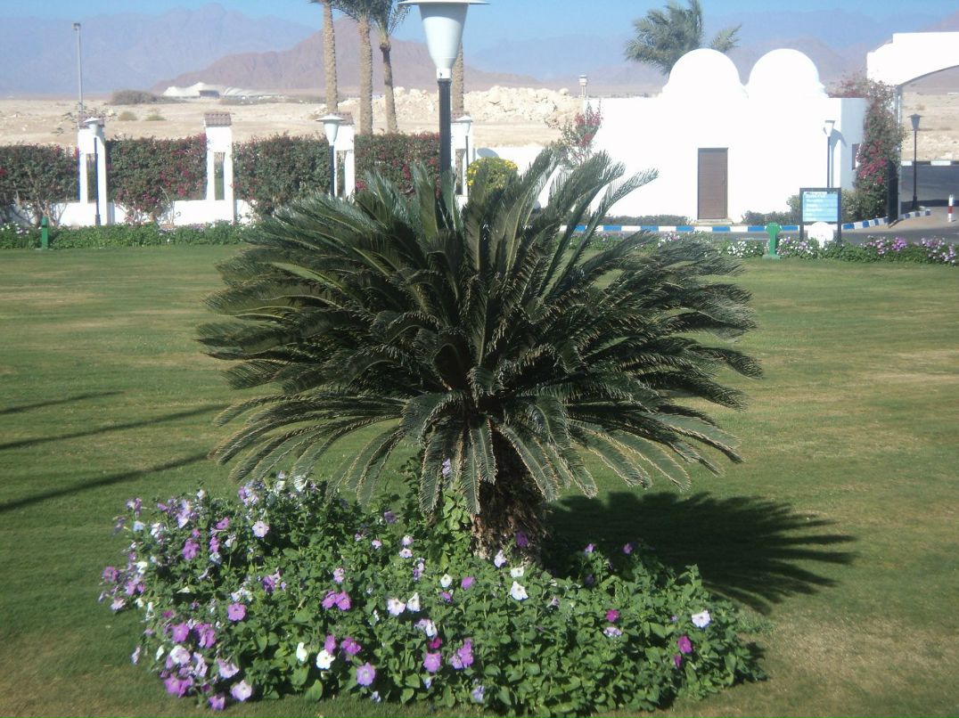 Ирина Карбаинова | Омск