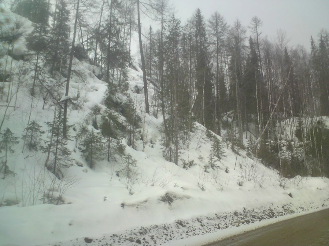 Денис Филковский Fill | Архангельск