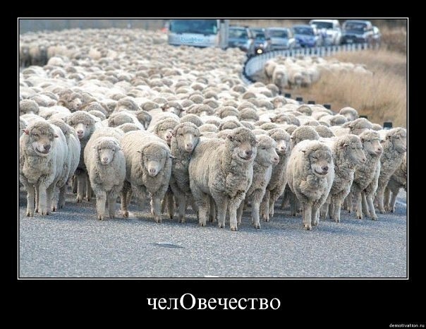 №87, Алиса Пахомова-Галанскова, 44 года, Москва №87, Алиса Пахомова-Галанскова, 44 года, Москва