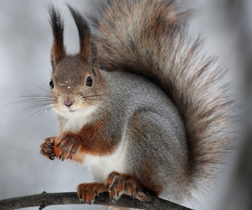 Надежда Петровская | Кронштадт