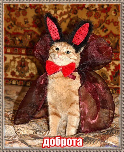 Володенька Дворянов Fuck Yeah! | 