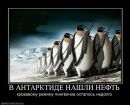 №41 Левон Саркисян 13.03.1993: профиль, фото, статус - ВКонтакте №41 Левон Саркисян 13.03.1993: профиль, фото, статус - ВКонтакте