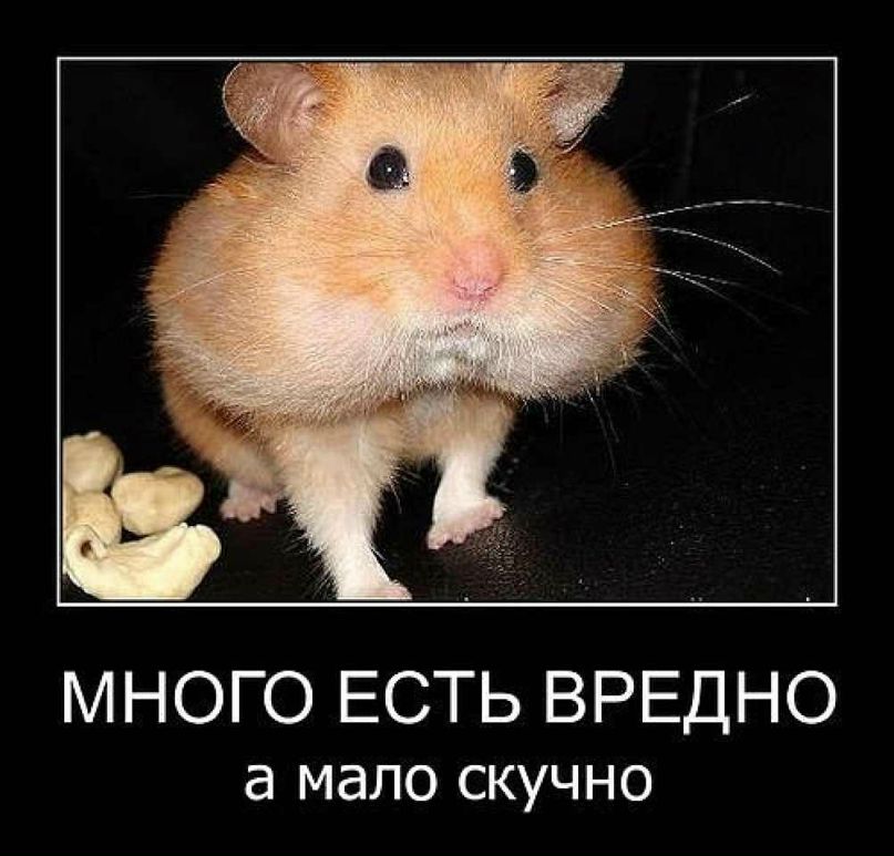 Татьяна Шатрова | Москва