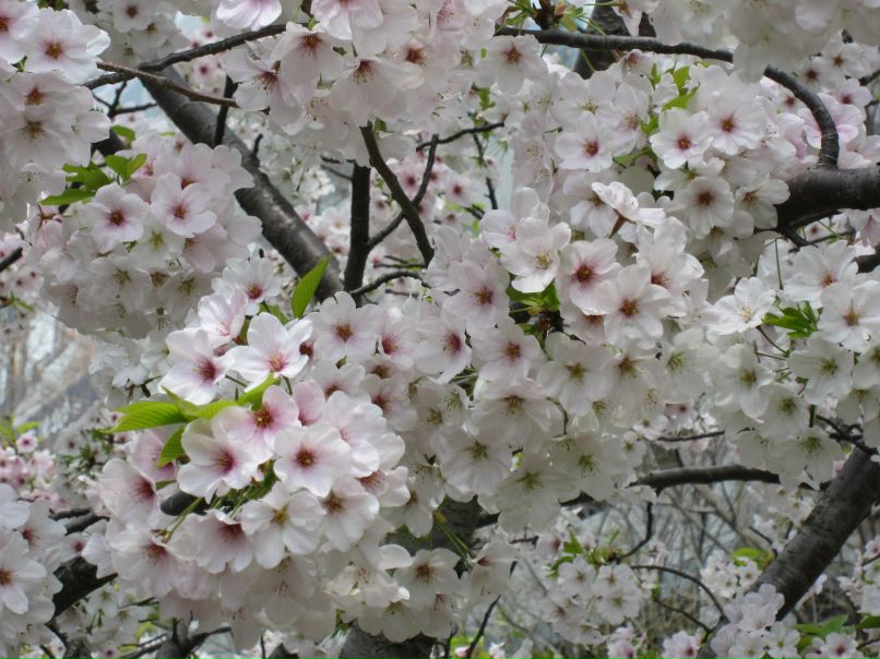 Ната Залищук | Одесса