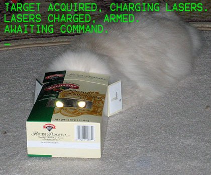 Alibek Kozhanbergen | Алматы