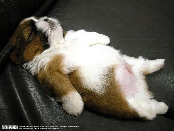 Татьяна Назмиева | Березники