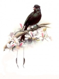 Виктор Подмарев | Москва