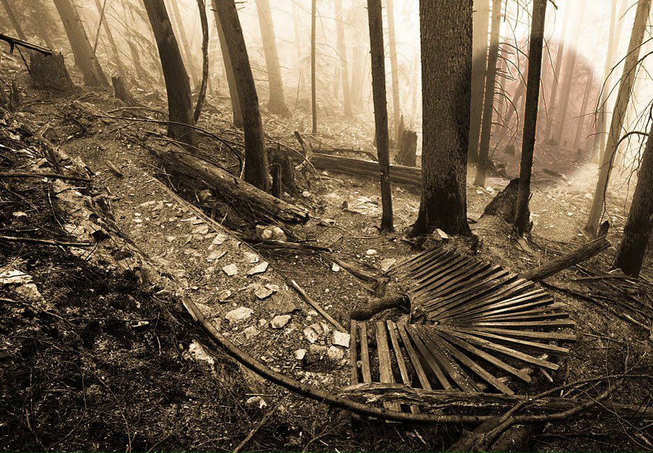 Max Ustenko | Киев