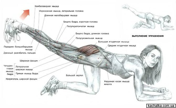 Алексей Чистов | Великие Луки