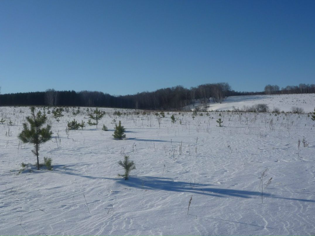 Виталий Полещук | Уфа