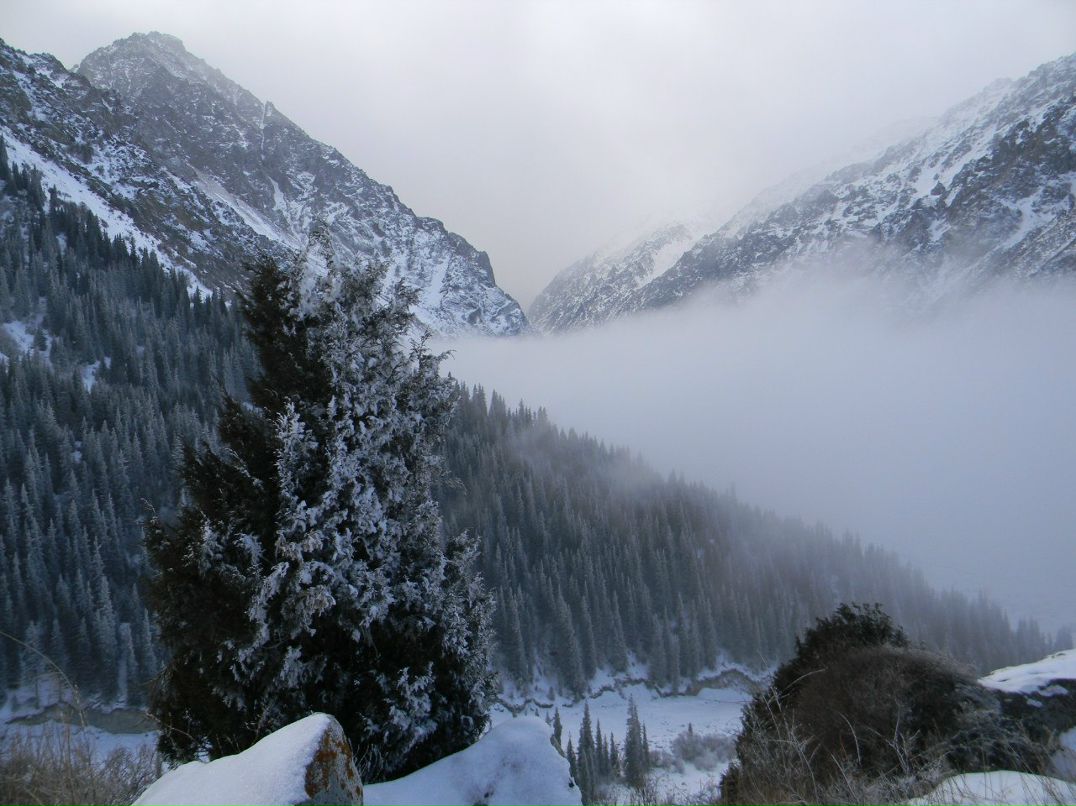 Паша Цветов | 