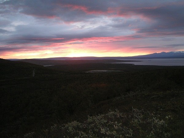 Алеша Колин | 