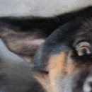 №45, Денис Рафальский, 26 лет, Коростень №45, Денис Рафальский, 26 лет, Коростень