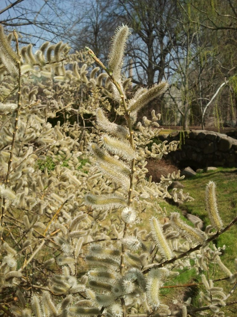 Игорь Панов | Santo Domingo