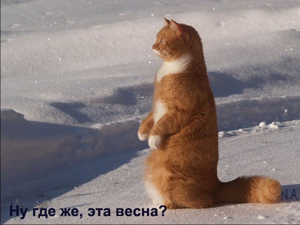 Михаил Черненко | 