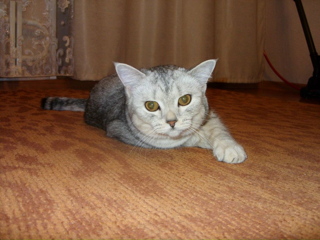 Екатерина Чеботаева | Кирово-Чепецк