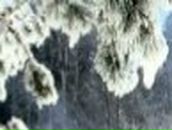 Елена Моргунова ♥♥ღ♥ | Петрозаводск