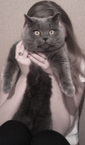 Полина Ворсина ”*°•.♥.•°*” | Москва