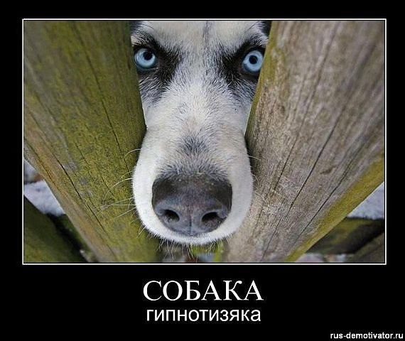 Наталья Воробьёва | Севастополь