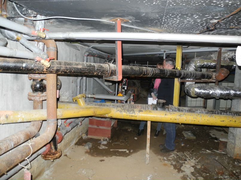 Евгения Торицына | Рыбинск