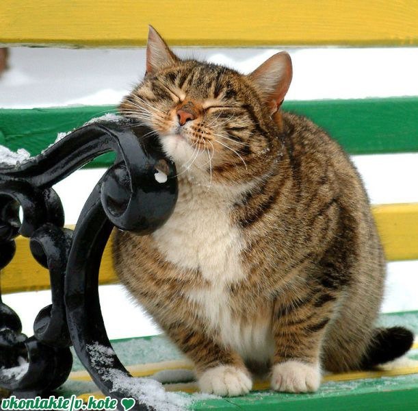 Никита Сон | Пермь