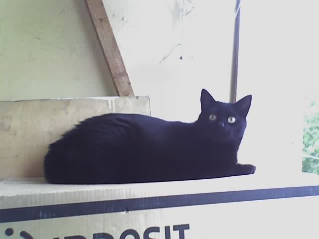 Сергей Виноградов | Санкт-Петербург